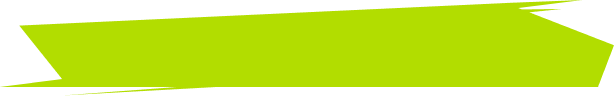 Profile Title