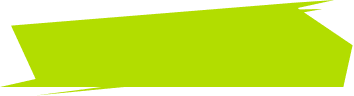 Profile Title